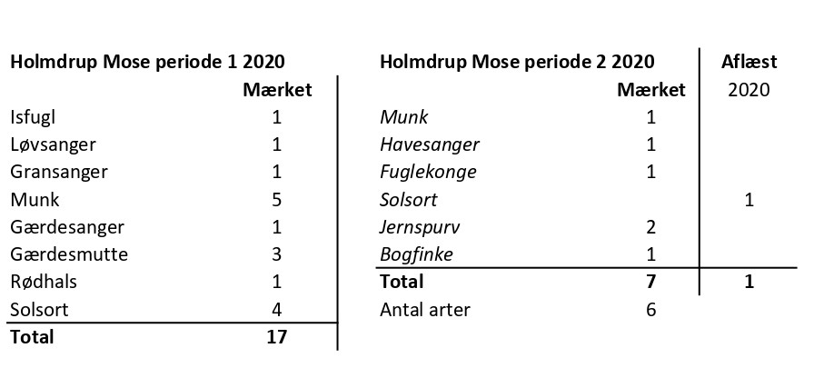 CES Holmdrup per 1 2 2020