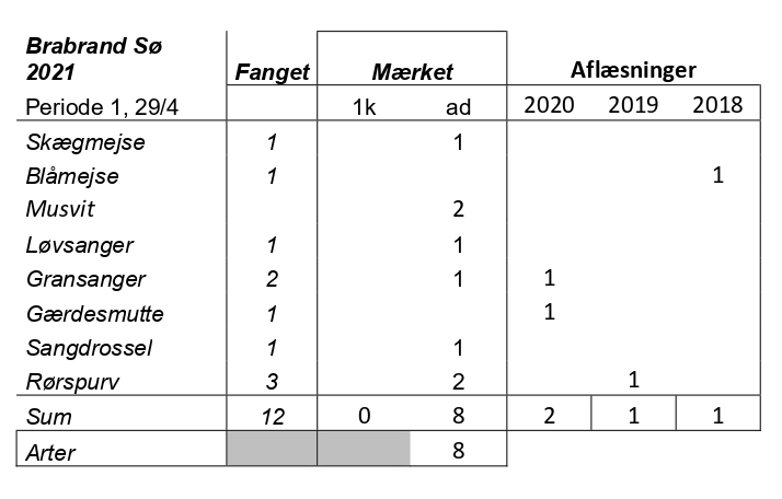 CES 2021 periode 1 