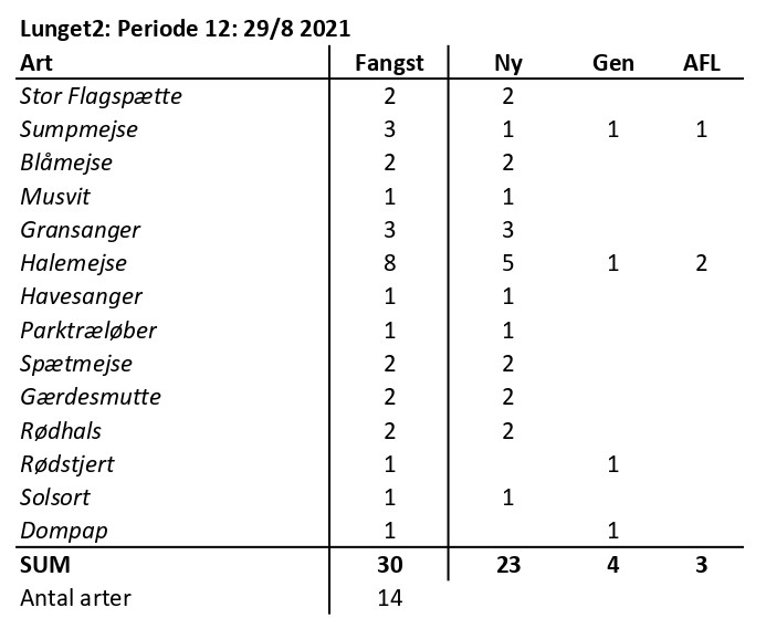 CES Lunget2 periode 12 