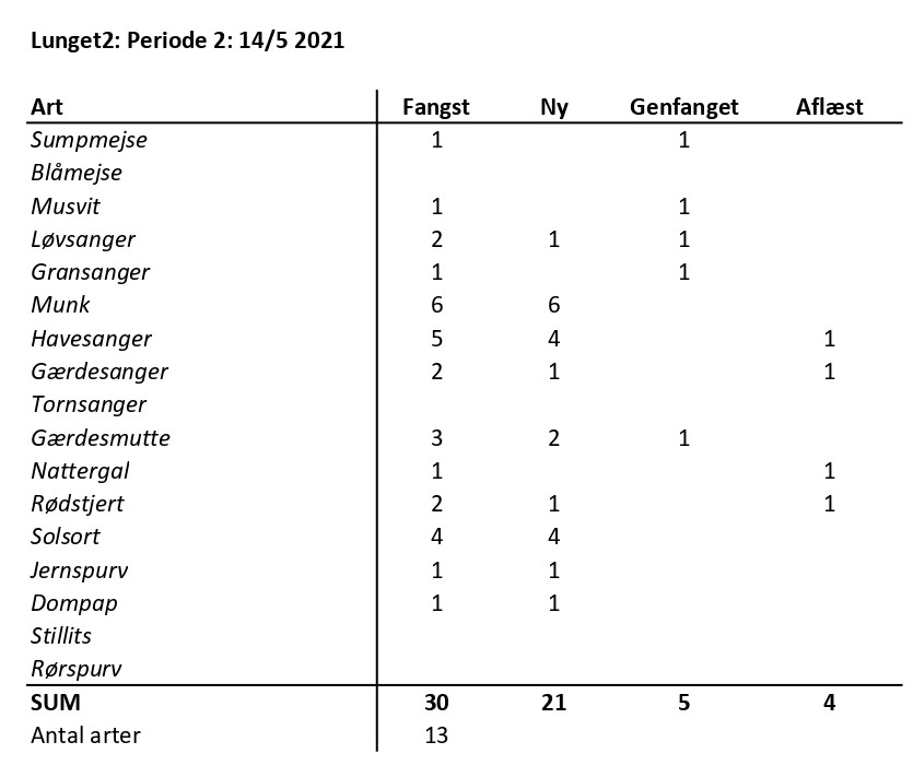 CES Lunget2 periode 2 