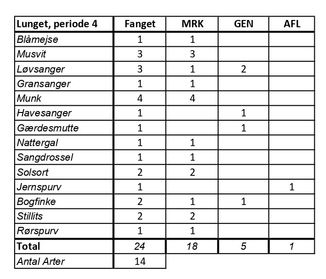 CES Lunget 2 periode 4 