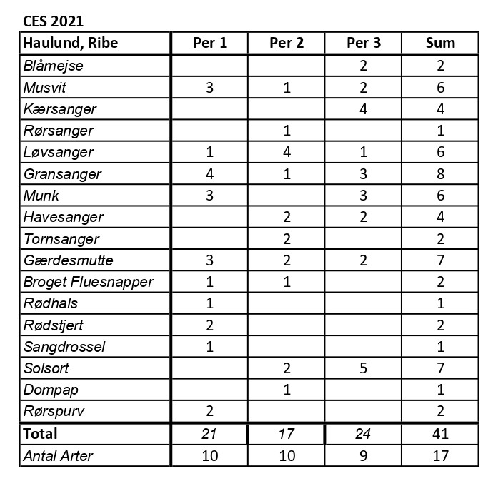 CES Raulund per 1 3 