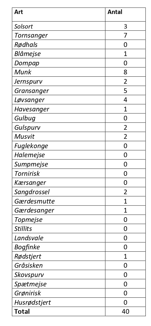 CES Svendborg per 2 tabel
