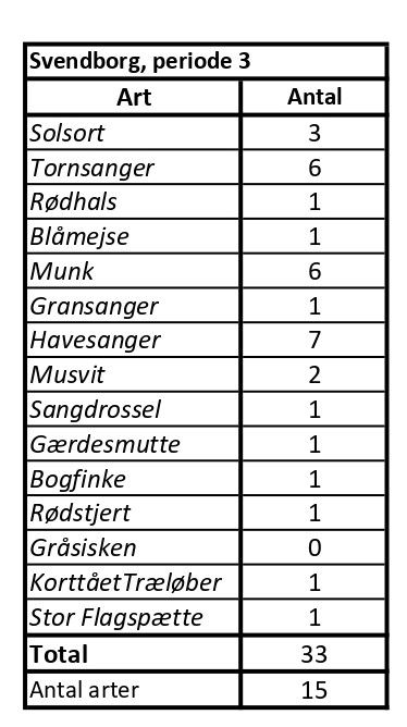 CES Svendborg per 3 tabel page 0001