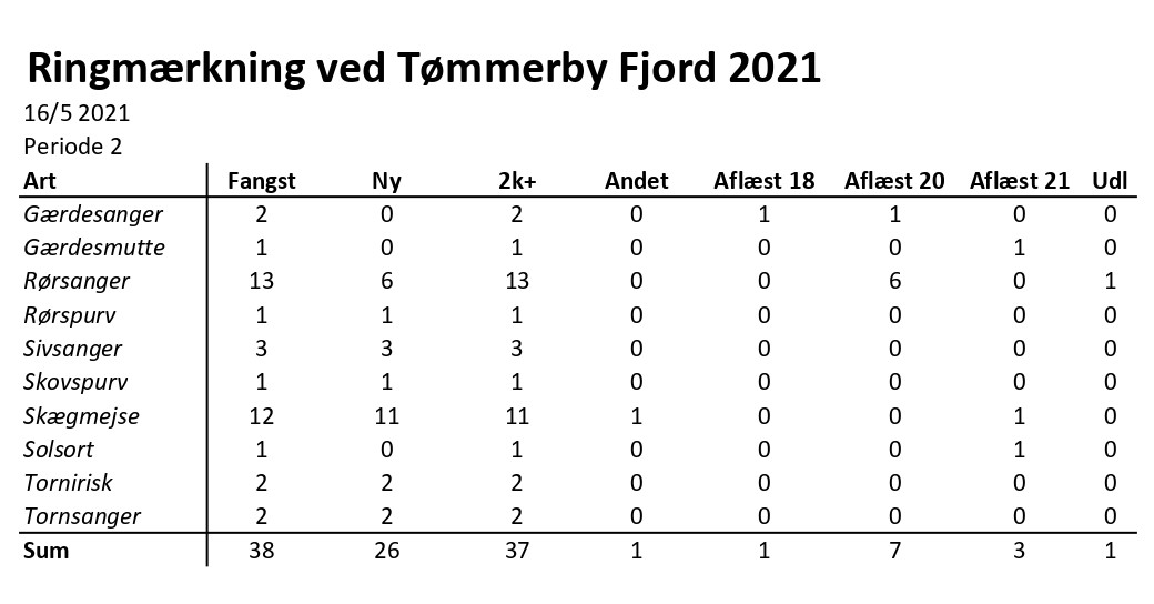 CES Tmmerby per 2