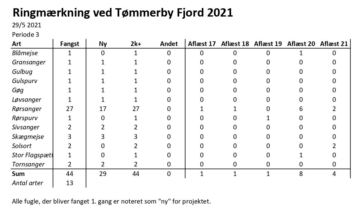 CES Tmmerby per 3 