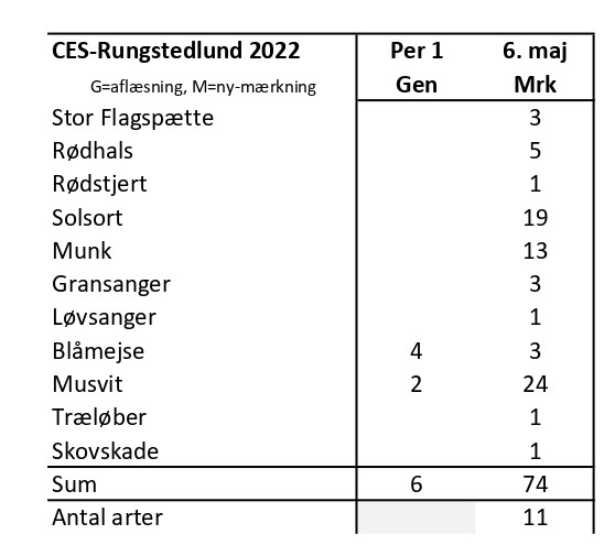 CES Rungstedlund per 1 