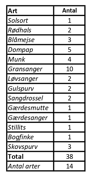 CES Svendborg data per 1 