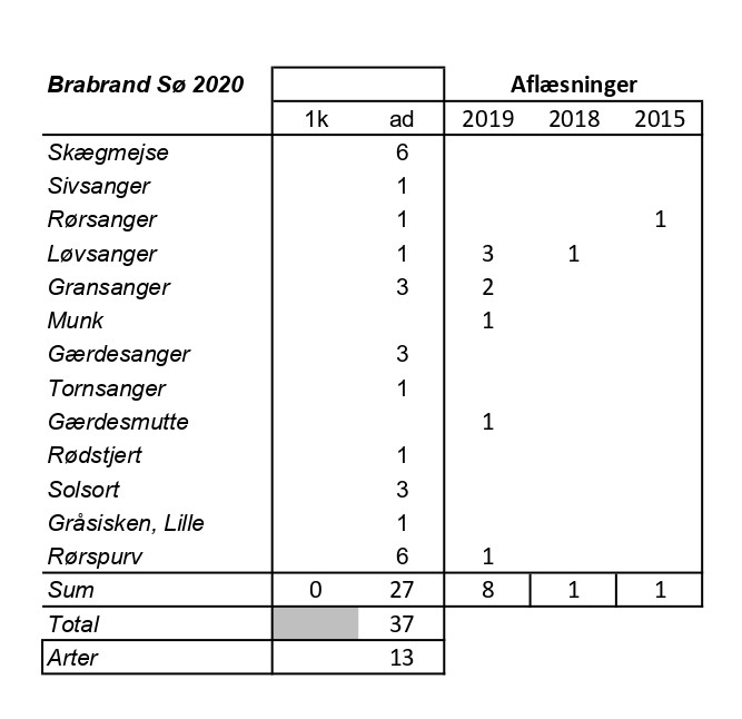 CES Brabrand periode 1 2020