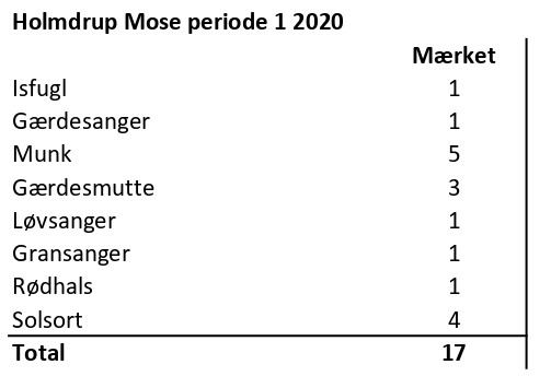 CES Holmdrup Mose per 1 2020