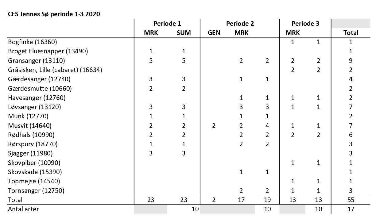 CES Jennes s per 1 3 2020 