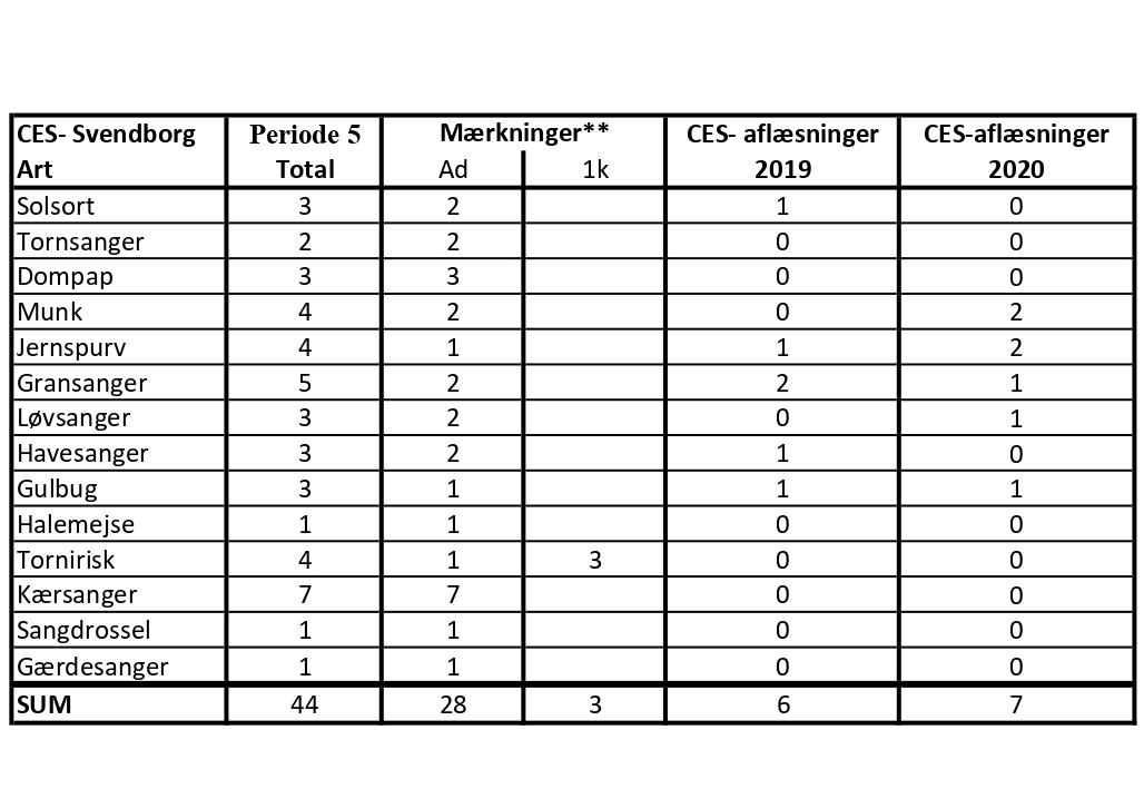 CES Svendborg data periode 5 2020 