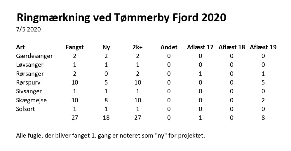 CES Tmmeby per 1 2020 page 0001