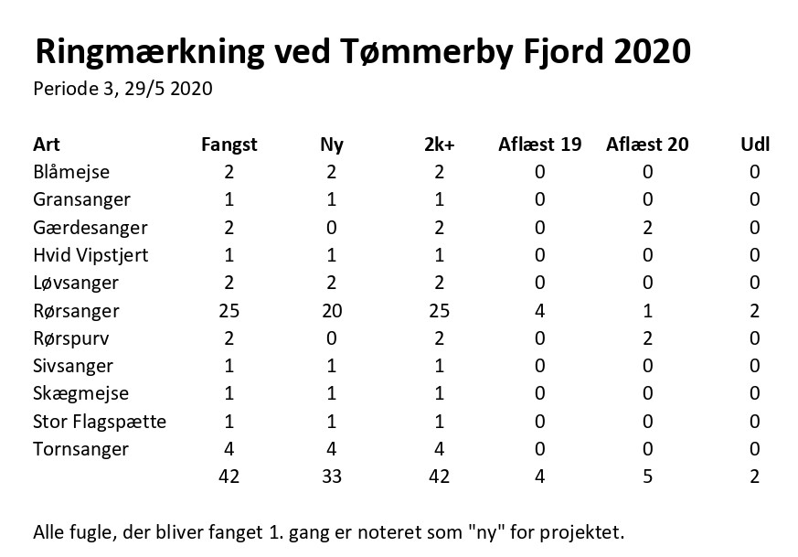 CES Tmmerby periode 3 2020 