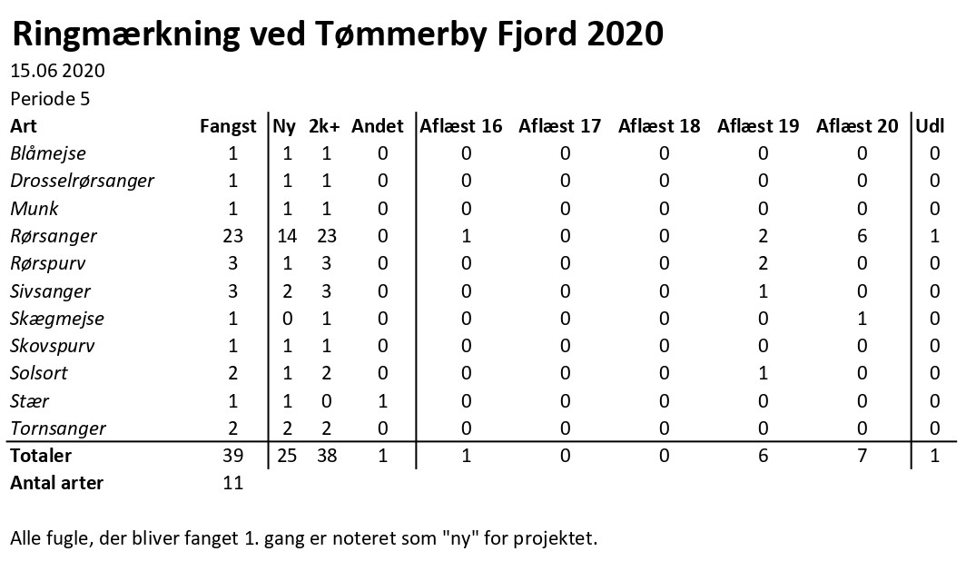 CES Tmmerby periode 5 2020 