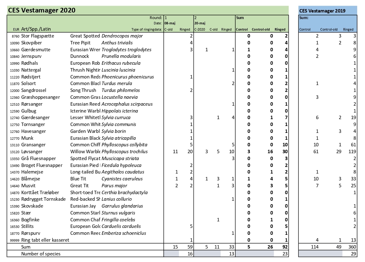 CES Vestamager per 1 2 2020 