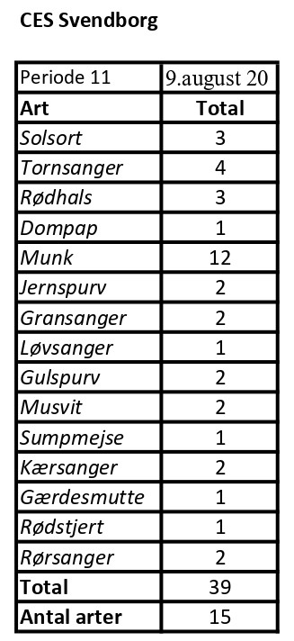 CES Svendborg data periode 11 2020 