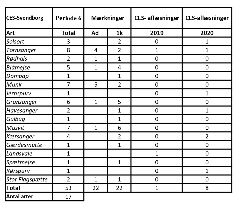 CES Svendborg data periode 6