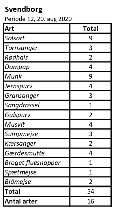 CES Svendborg per 12 2020