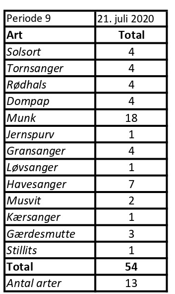 CES Svendborg periode 9 2020 