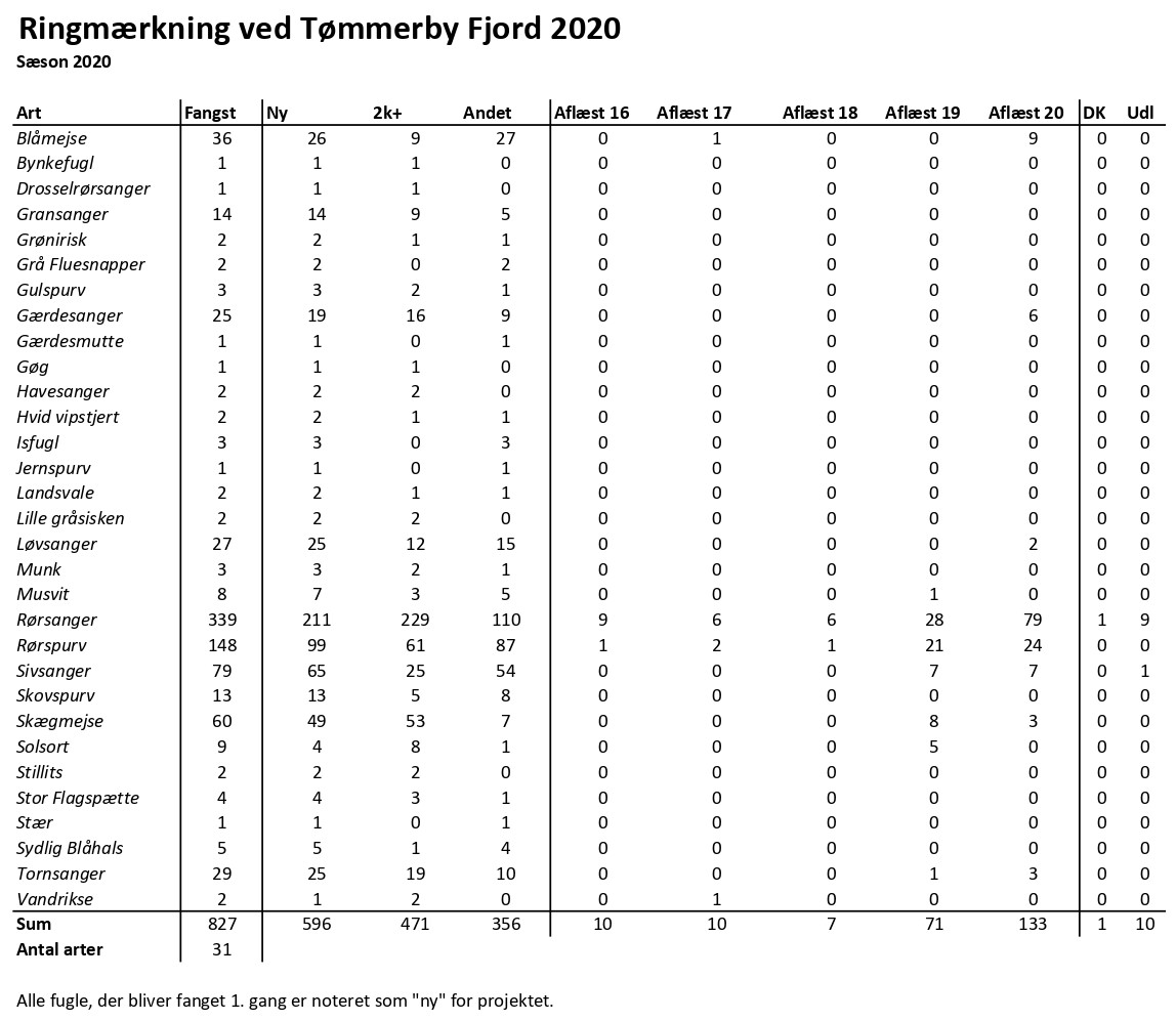 CES Tmmerby 2020 