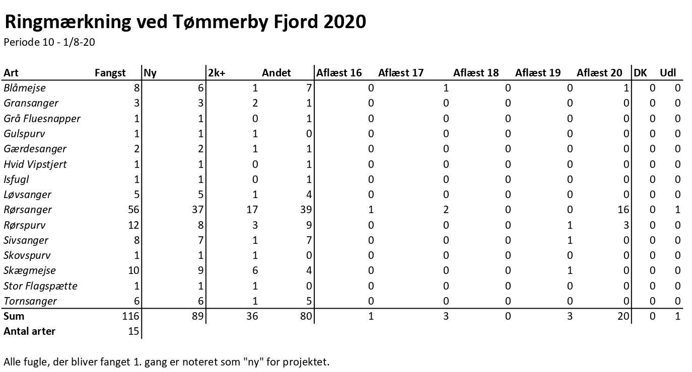 CES Tmmerby periode 10 2020 