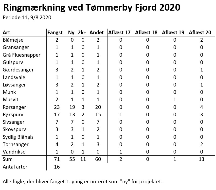 CES Tmmerby periode 11 2020 