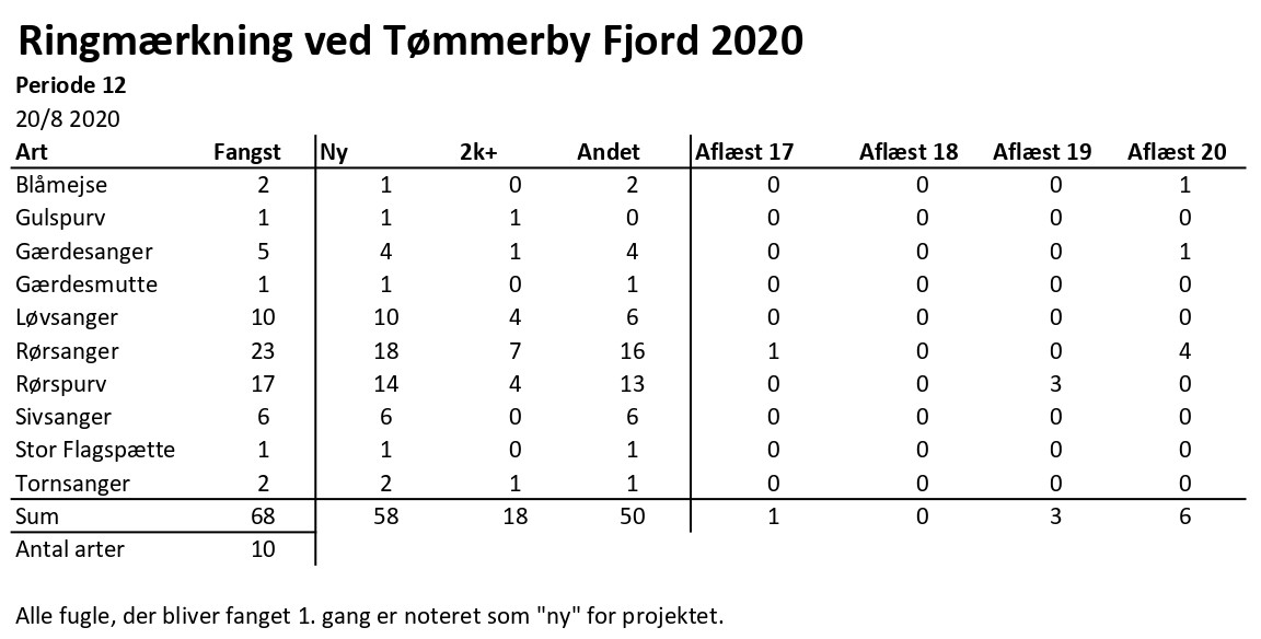 CES Tmmerby periode 12 2020 