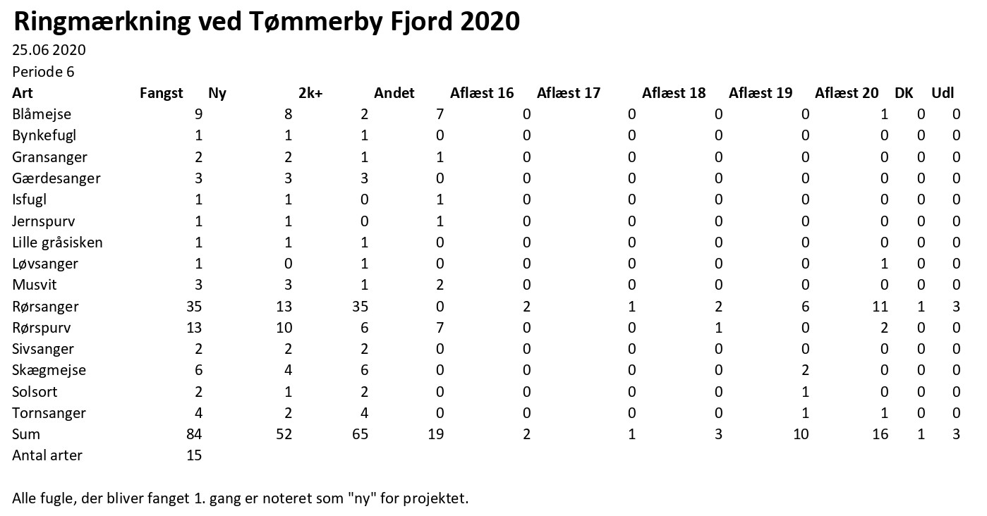 CES Tmmerby periode 6 2020 