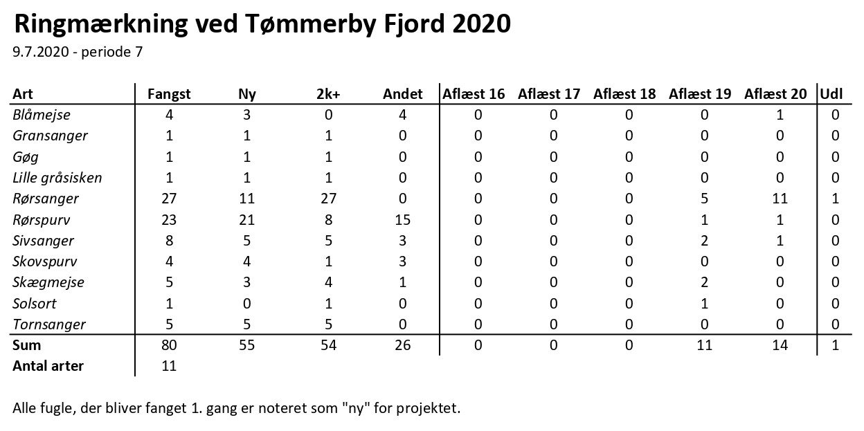 CES Tmmerby periode 7 2020 